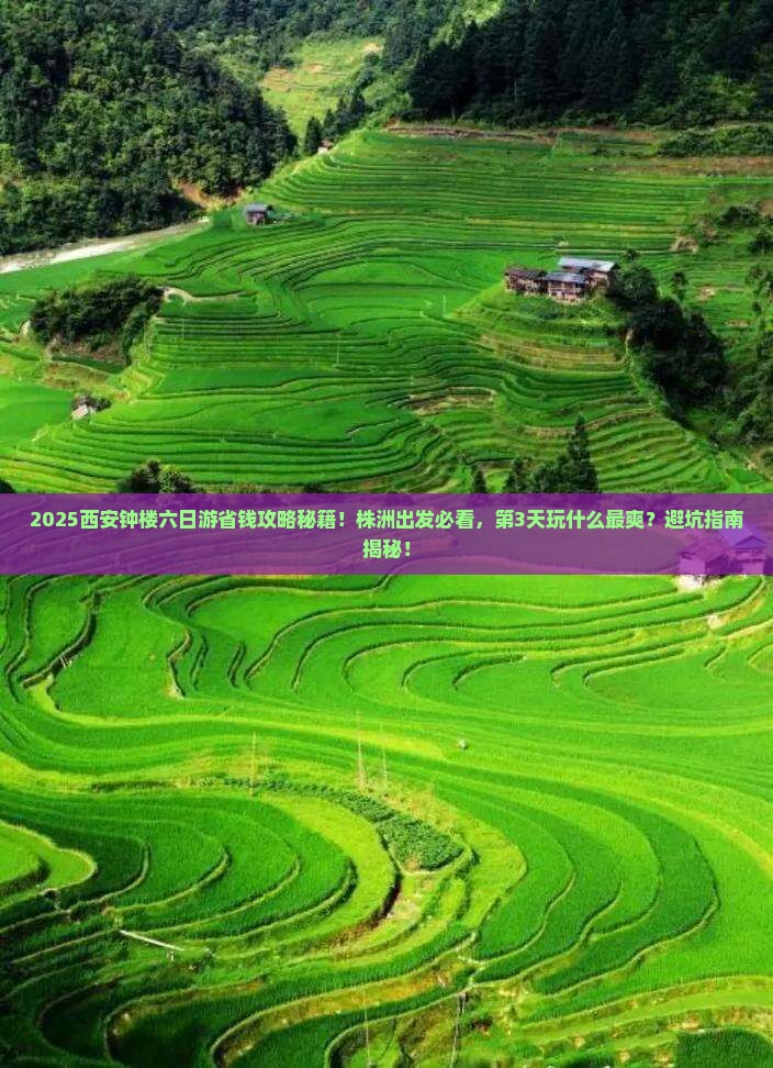 株洲去西安钟楼六日游