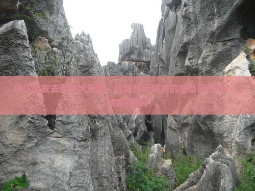 镇江到西安大雁塔旅行社