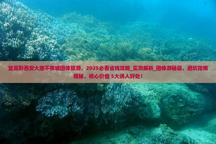 宜宾到西安大唐不夜城团体旅游