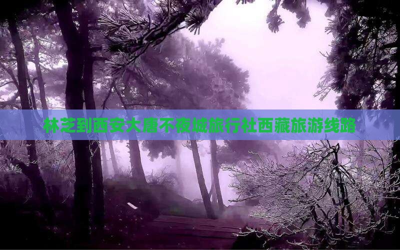 林芝去西安大唐不夜城旅行社