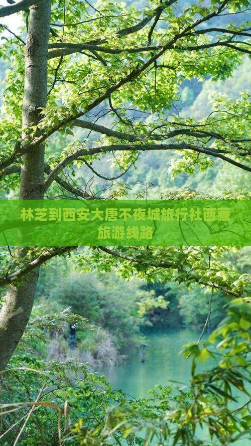 林芝去西安大唐不夜城旅行社