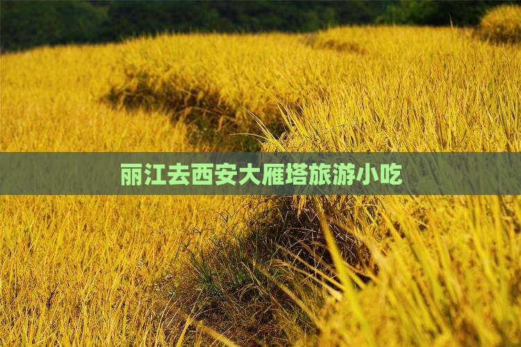 丽江去西安大雁塔旅游小吃