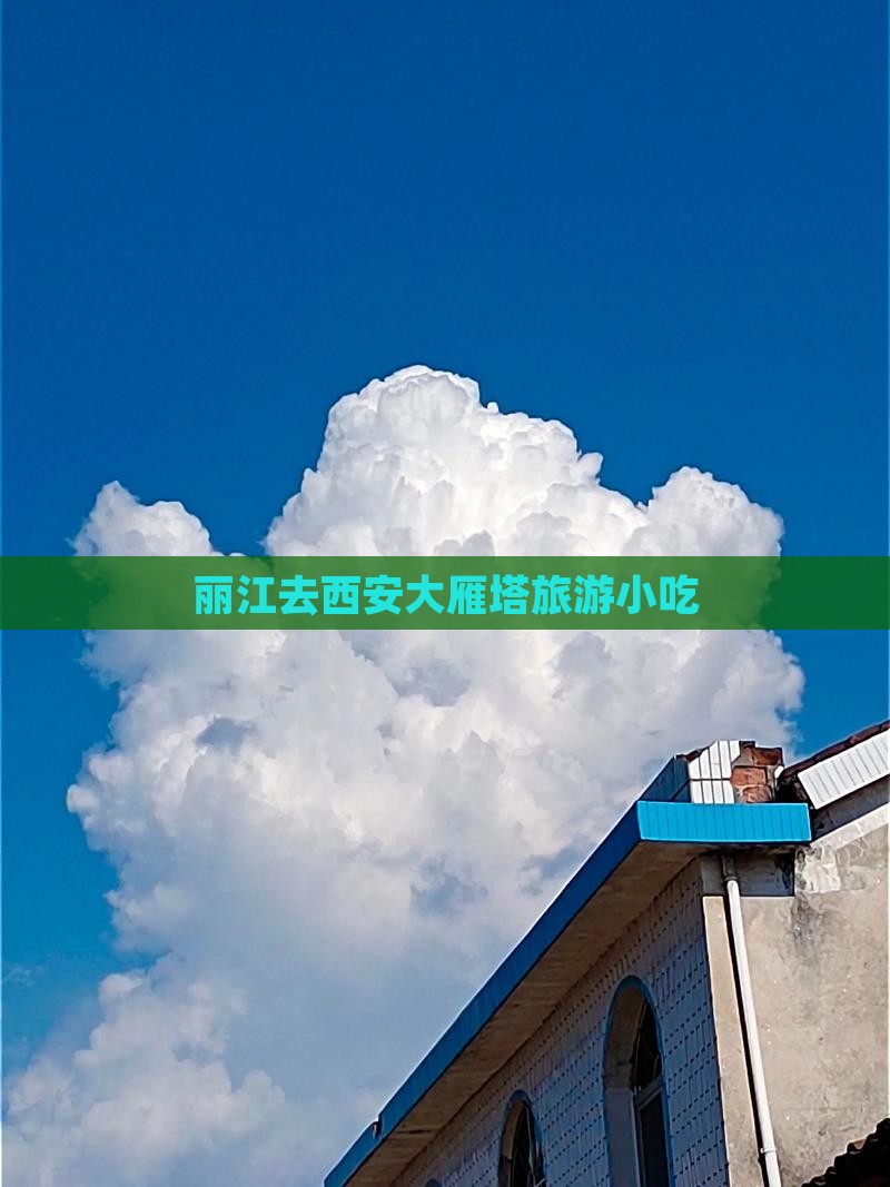 丽江去西安大雁塔旅游小吃