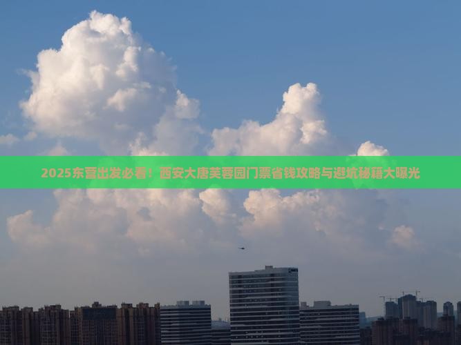 东营到西安大唐芙蓉园门票