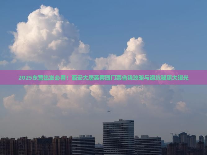 东营到西安大唐芙蓉园门票