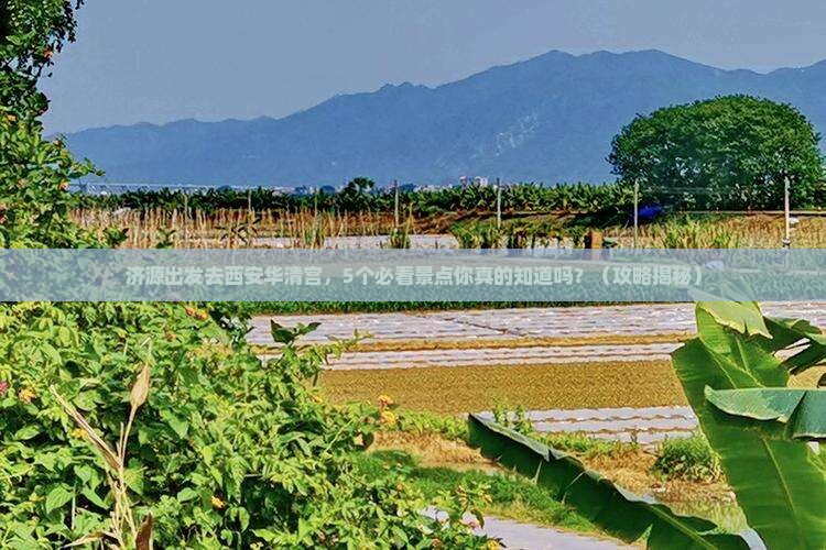 济源到西安华清宫攻略