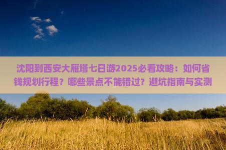 沈阳到西安大雁塔七日游