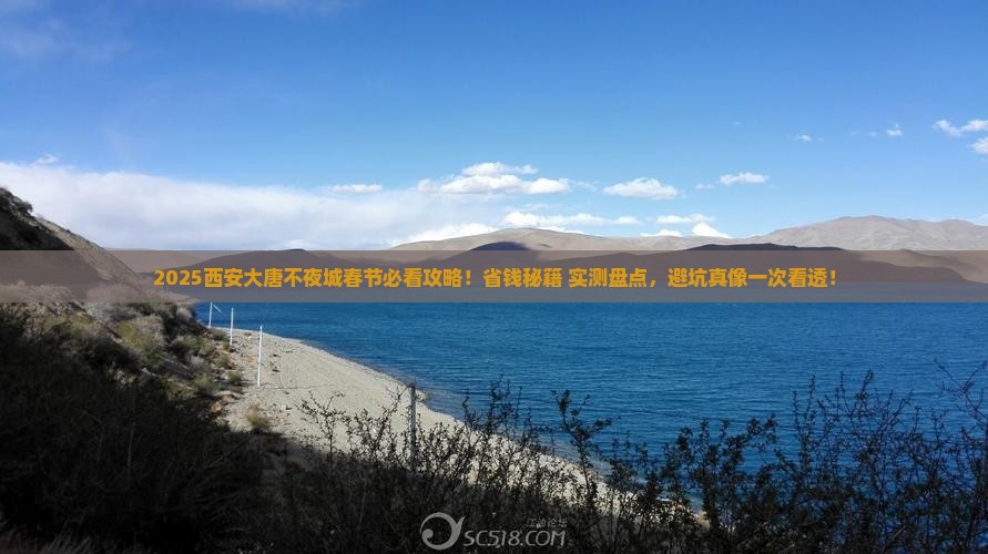 春节到西安大唐不夜城景点