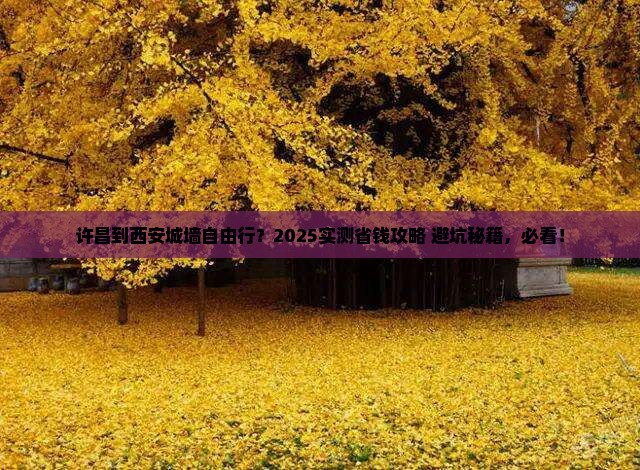 许昌到西安城墙自由行