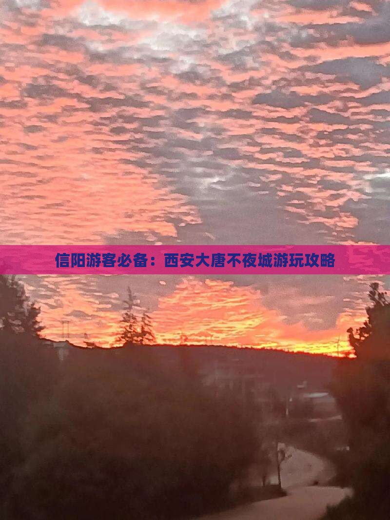 信阳去西安大唐不夜城攻略