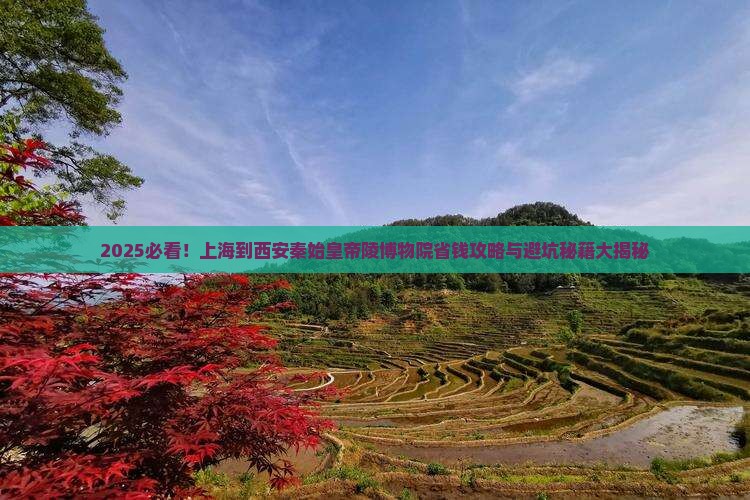 上海到西安秦始皇帝陵博物院旅行社