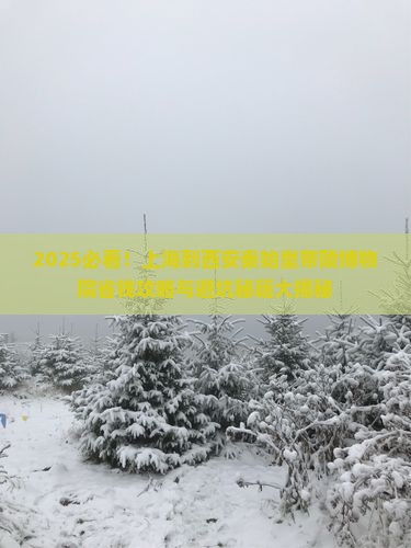 上海到西安秦始皇帝陵博物院旅行社