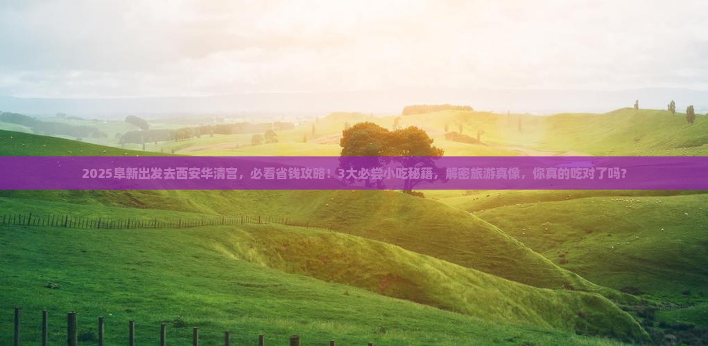 阜新到西安华清宫旅游小吃