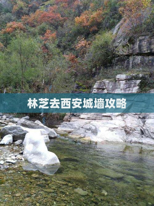 林芝去西安城墙门票