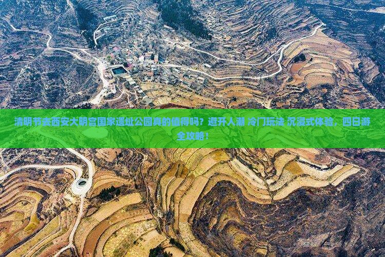 清明节到西安大明宫国家遗址公园四日游