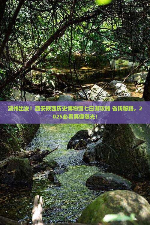湖州去西安陕西历史博物馆七日游