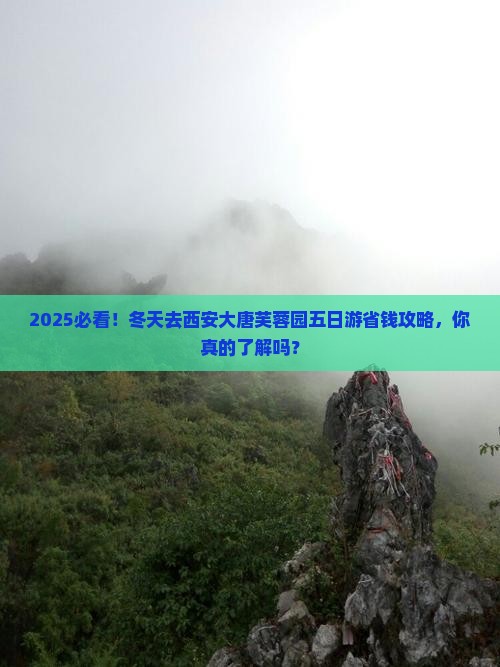 冬天去西安大唐芙蓉园五日游
