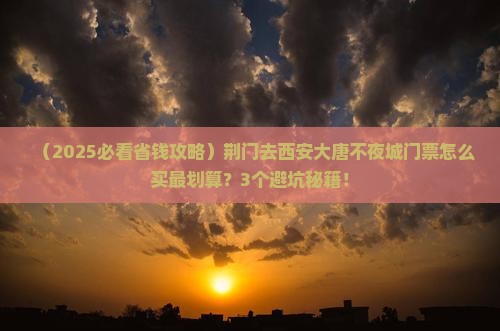 荆门去西安大唐不夜城门票