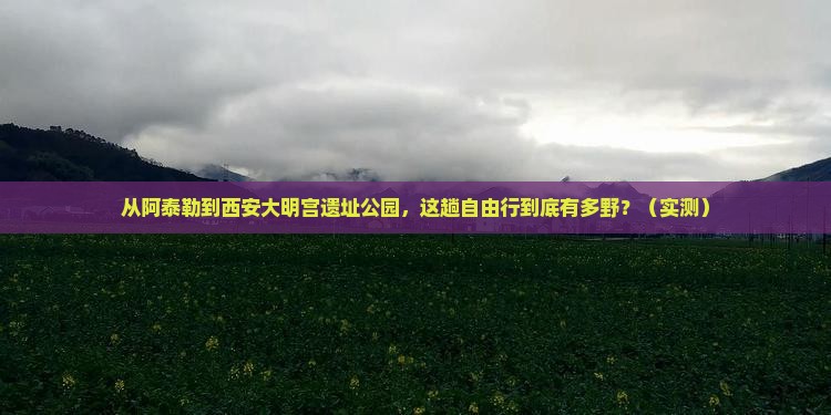 阿泰勒到西安大明宫国家遗址公园自由行