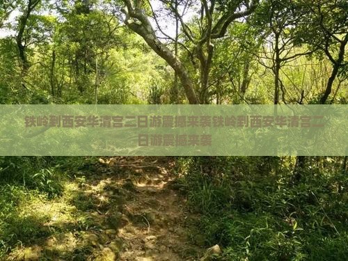 铁岭到西安华清宫二日游