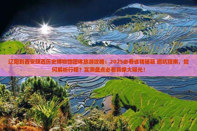辽阳到西安陕西历史博物馆团体旅游