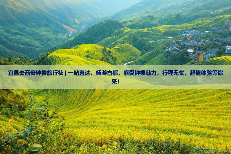 宜昌去西安钟楼旅行社