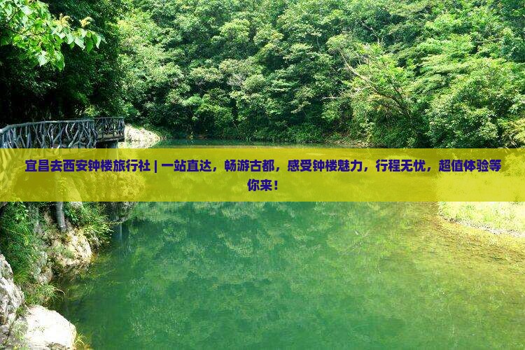 宜昌去西安钟楼旅行社