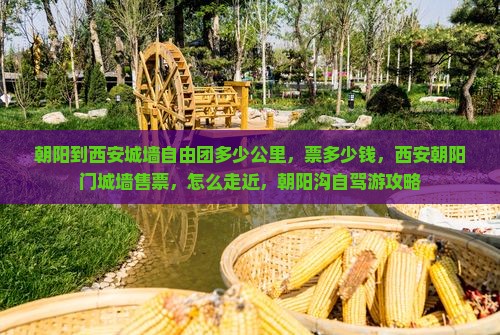 朝阳到西安城墙自由团