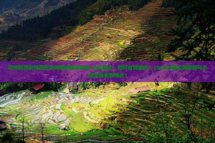 鄂州到西安陕西历史博物馆旅游小吃