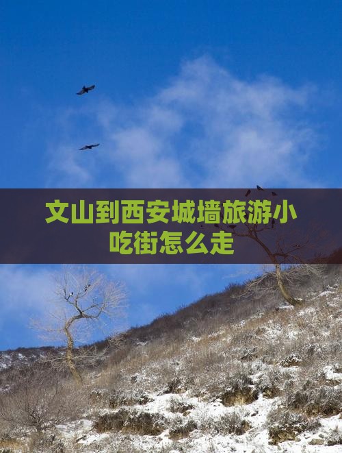 文山到西安城墙旅游小吃