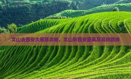 文山去西安大雁塔攻略