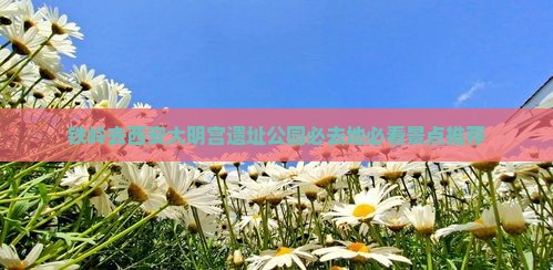 铁岭去西安大明宫国家遗址公园必去地