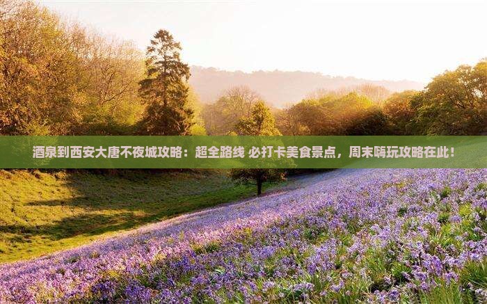 酒泉到西安大唐不夜城攻略