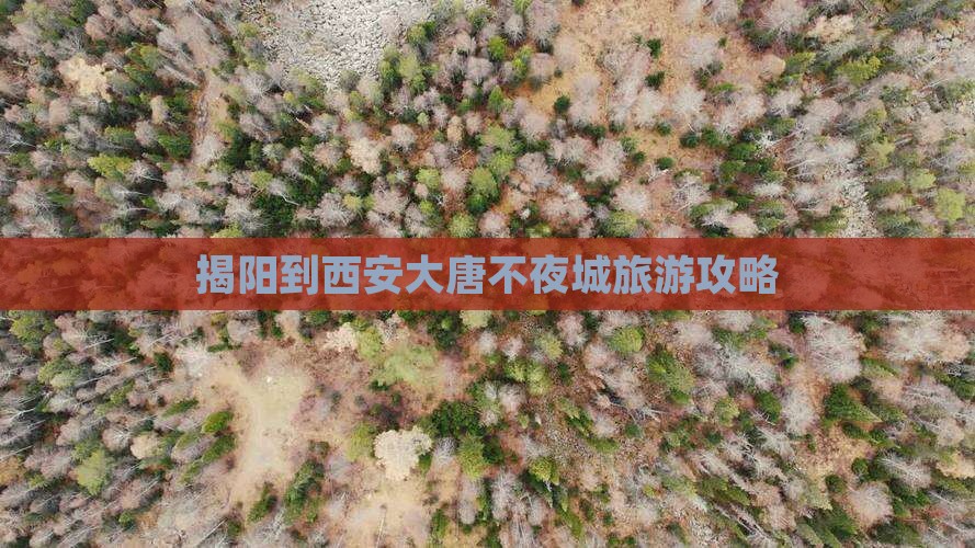 揭阳到西安大唐不夜城自由团