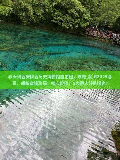 秋天到西安陕西历史博物馆自由团