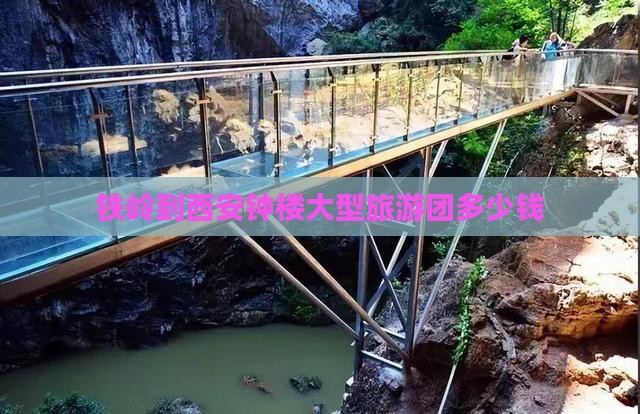 铁岭到西安钟楼大型旅游团