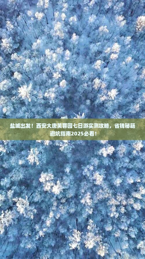 盐城去西安大唐芙蓉园七日游