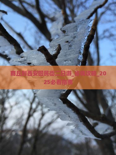 商丘到西安回民街二日游