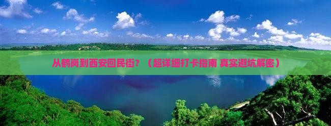 鹤岗到西安回民街景点