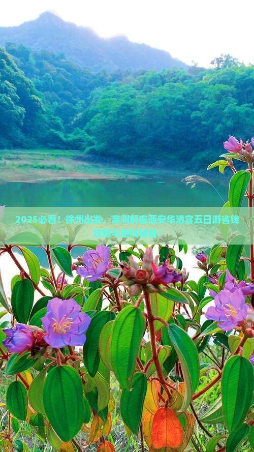 徐州去西安华清宫五日游