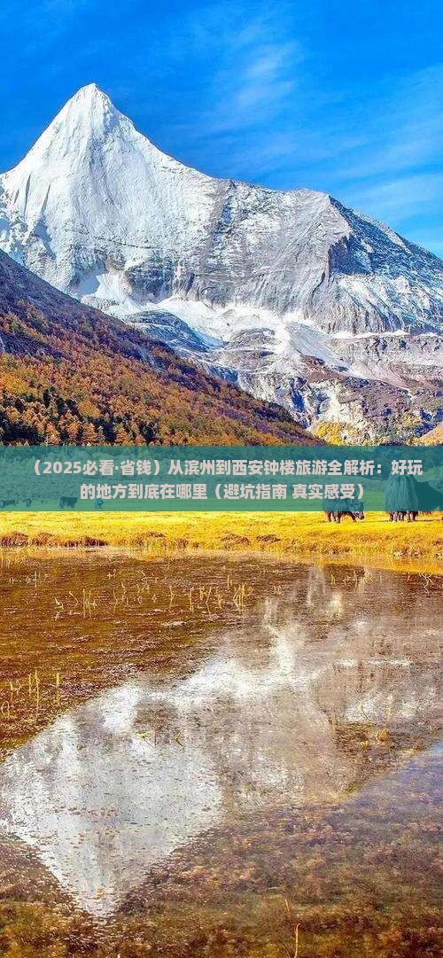 滨州到西安钟楼哪里玩