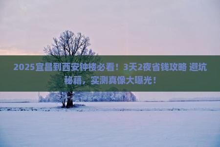 宜昌到西安钟楼旅行社