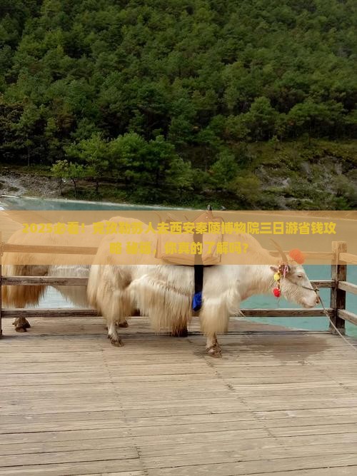 克孜勒苏去西安秦始皇帝陵博物院三日游