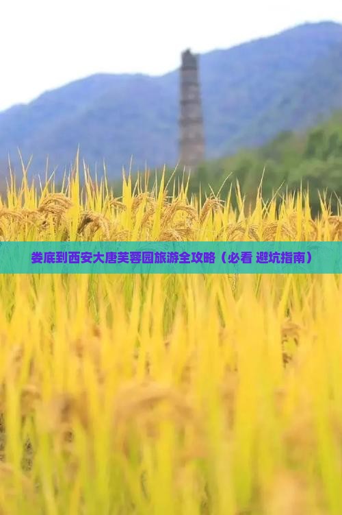 娄底到西安大唐芙蓉园旅行社 娄底到西安大唐芙蓉园旅行社