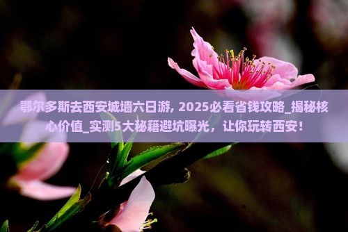 鄂尔多斯去西安城墙六日游