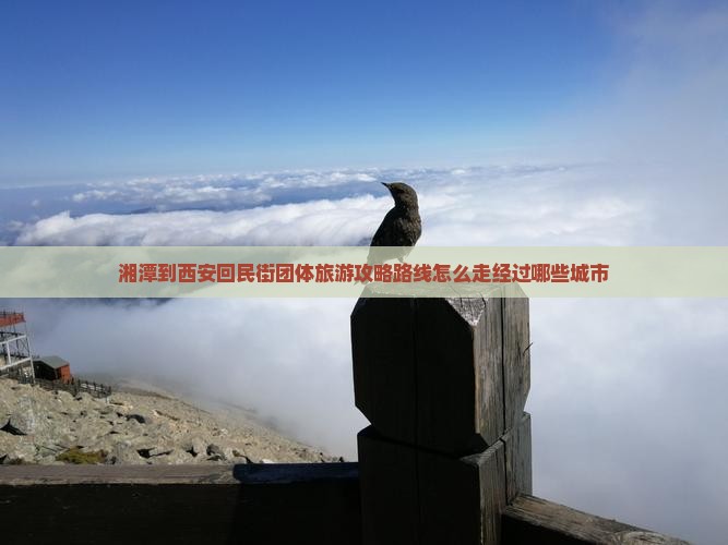 湘潭到西安回民街团体旅游