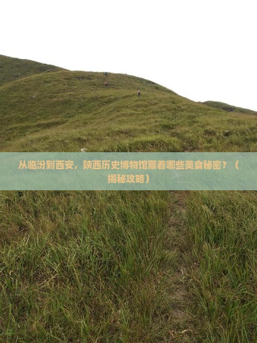 临汾到西安陕西历史博物馆旅游小吃