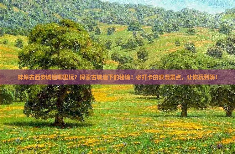 蚌埠去西安城墙哪里玩