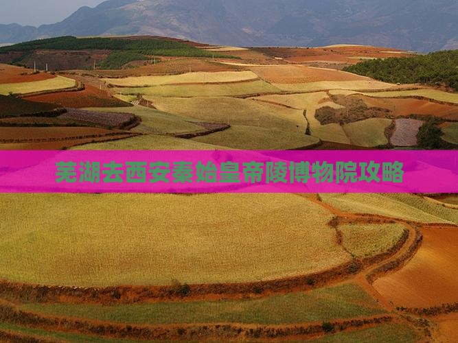 芜湖去西安秦始皇帝陵博物院景点