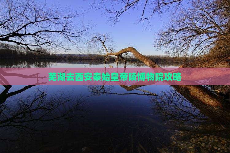 芜湖去西安秦始皇帝陵博物院景点